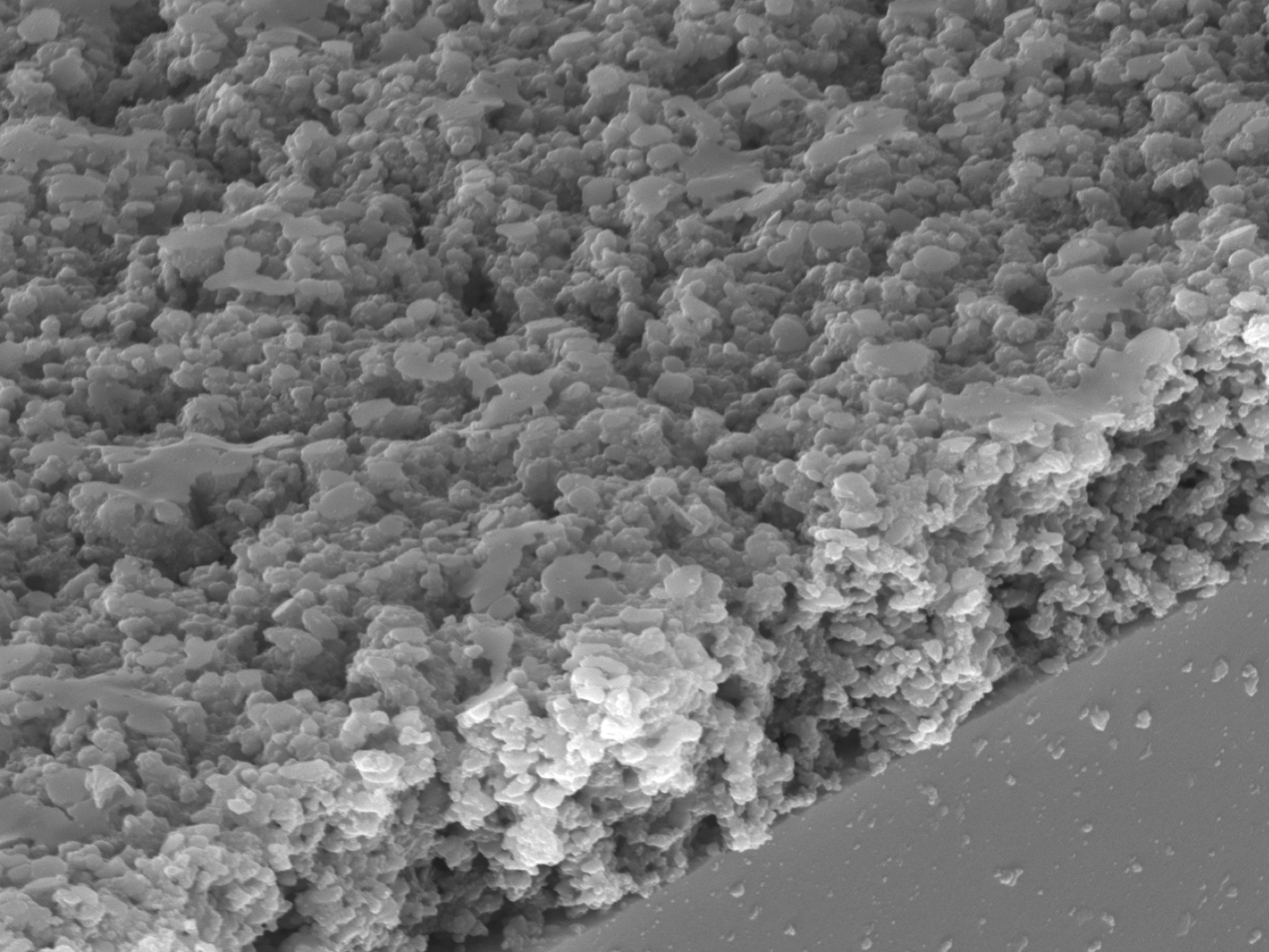 Robust permeable hierarchical strusctures via freeze casting and assembly of BCP