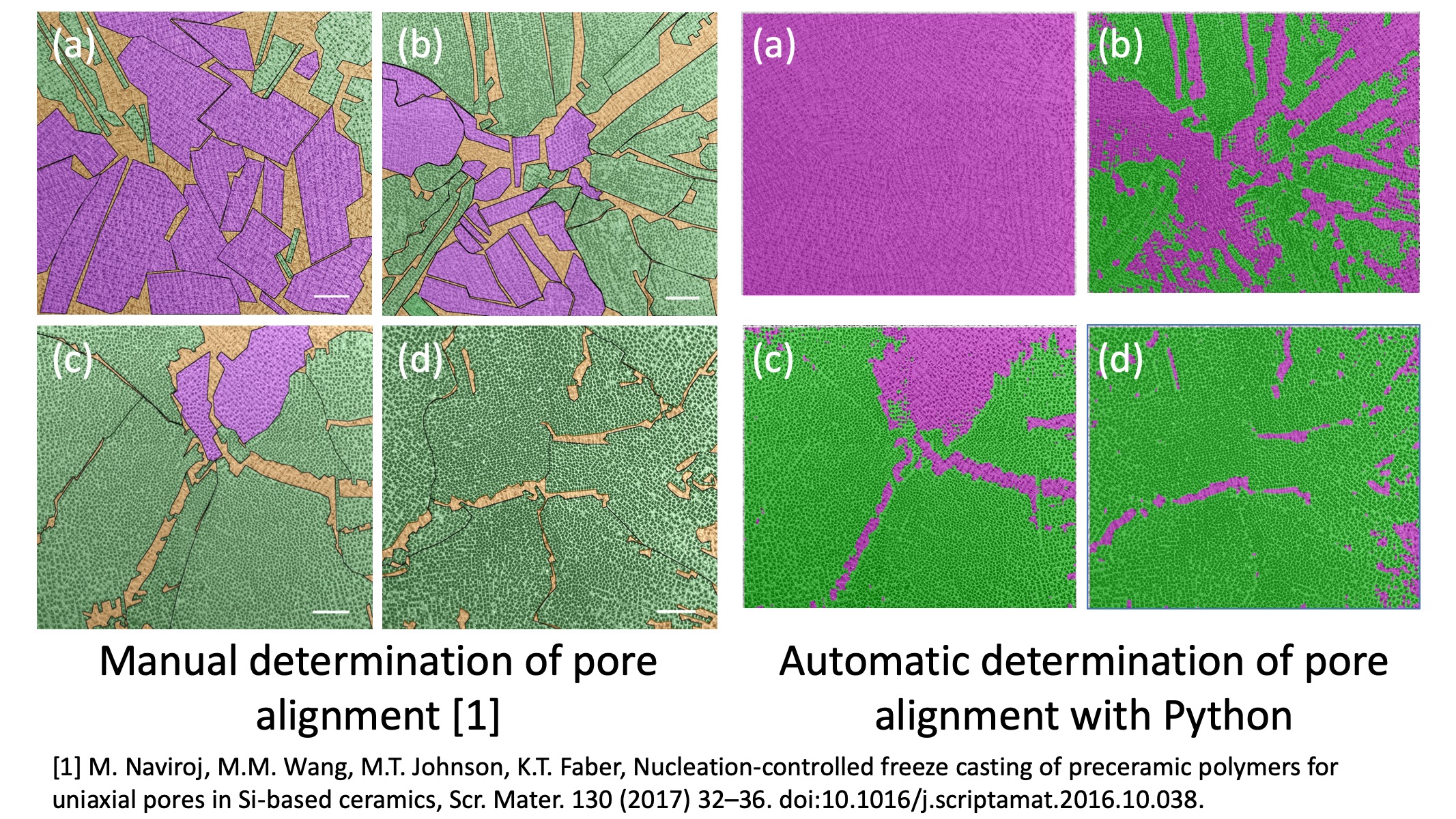 pore alignment image analysis