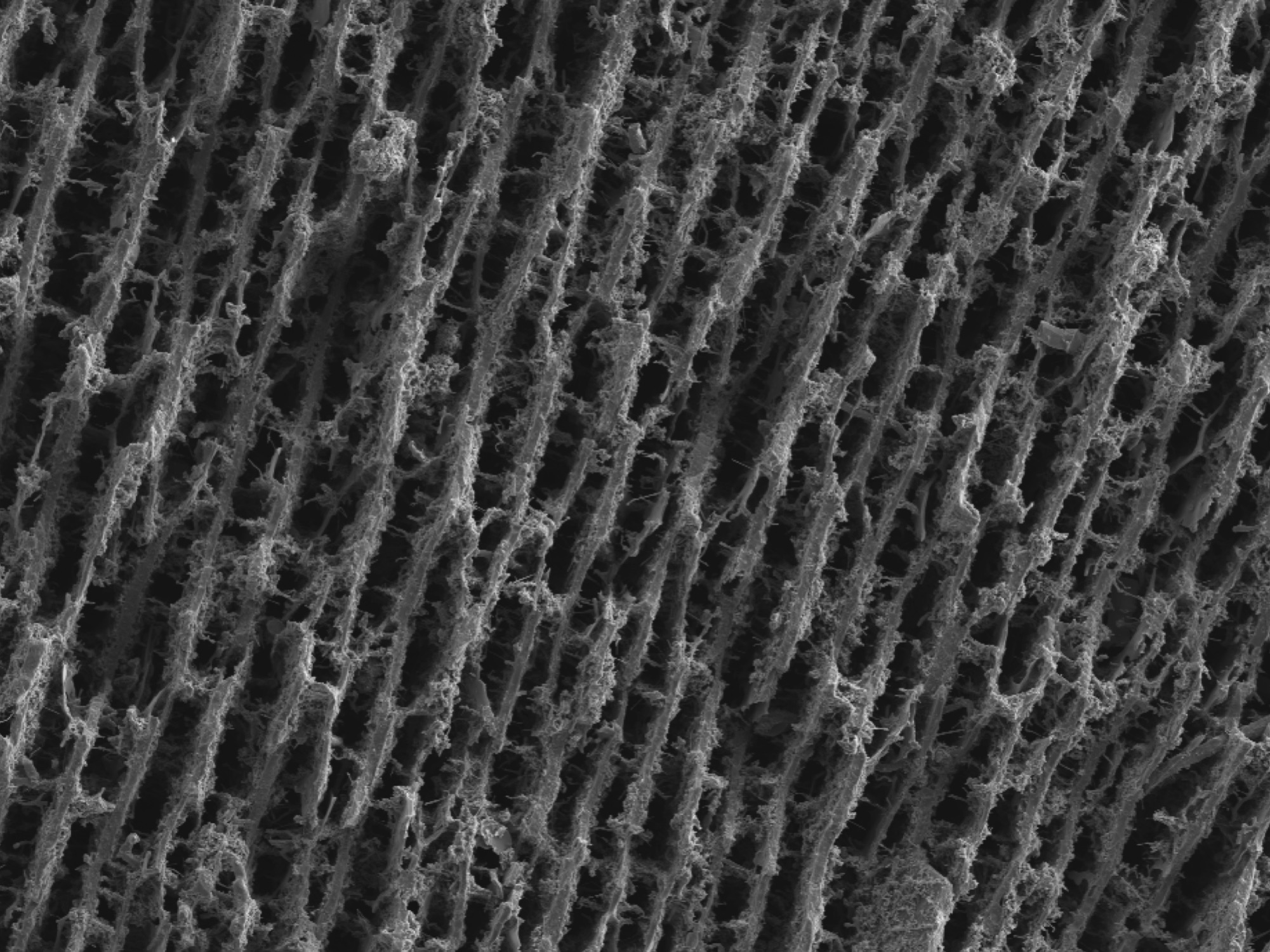 Theorctical and experimental investigations of particle engulfment during solidification