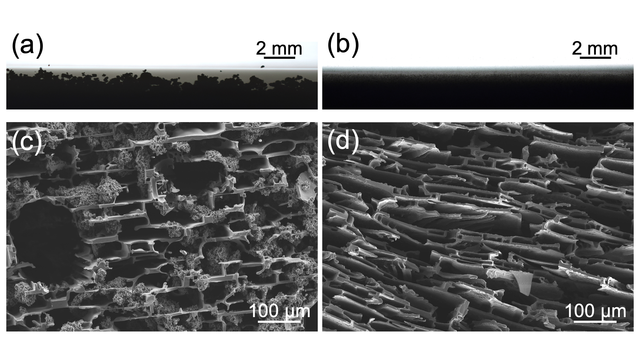 CNT pore composites