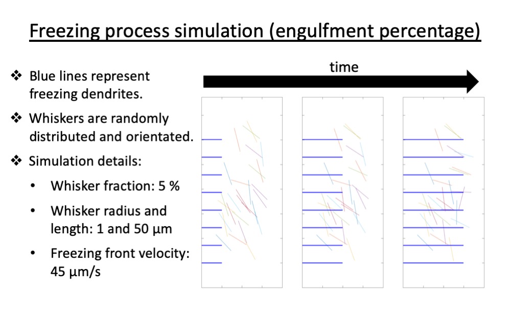 visualization of particle engulfment